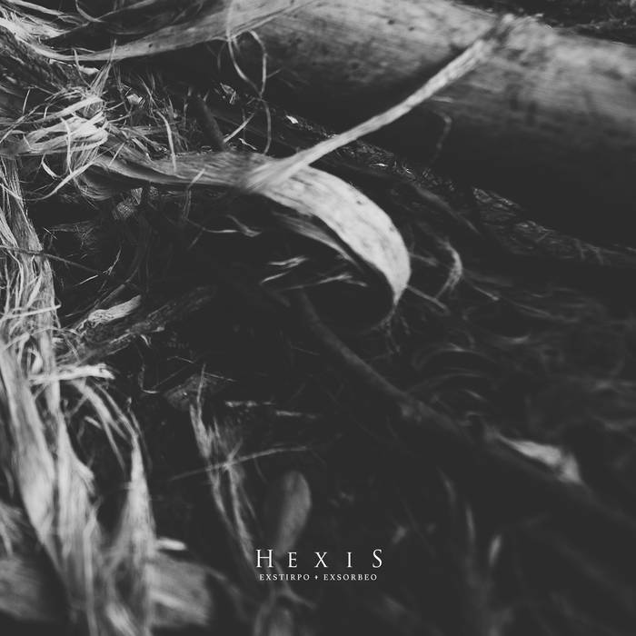 Hexis - Exstirpo / Exsorbeo - Download (2020)